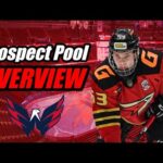 Prospect Pool Overview: Washington Capitals