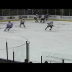 Adam Ruzicka 1st goal in season Stockton Heat (AHL) 19/20