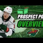 Prospect Pool Overview: Minnesota Wild