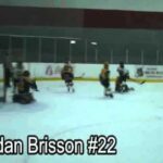 10 yr old tops 7 best hockey goals of 2011