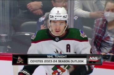 Arizona Coyotes offseason outlook