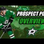 Prospect Pool Overview: Dallas Stars