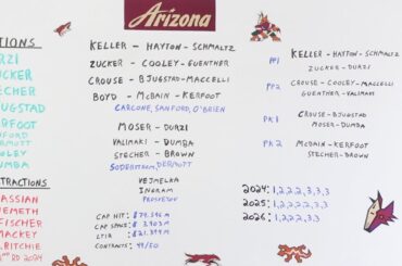 Discussing the Arizona Coyotes BEST Off-Season Ever