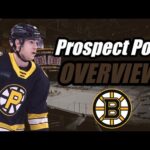 Prospect Pool Overview: Boston Bruins