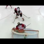 Gotta See It: Henrique flips puck over Vatanen then goes backhand for goal