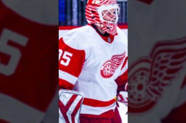 Detroit Red Wings playoff bound!?!? #Shorts #NHL #detroitredwings #redwings #hockey #nhlhighlights