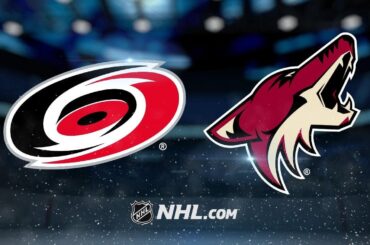 Stepan, Raanta lift Coyotes to SO win over Hurricanes