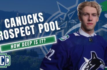 HOW STRONG (OR WEAK) IS THE CANUCKS PROSPECT POOL?