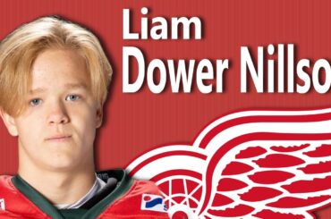 Liam Dower Nilsson! Detroit Red Wings Top Prospect! Dominating Start!