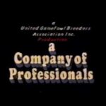 Company of Professionals