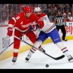 What does the Petry Trade means for the Red Wings Defense?