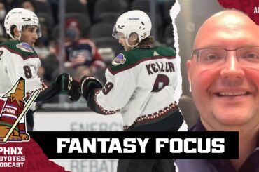 Which Arizona Coyotes players have the best fantasy value?