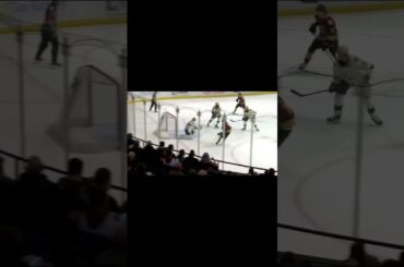 Ryan Suzuki scores a BEAUTIFUL goal in the AHL #shorts