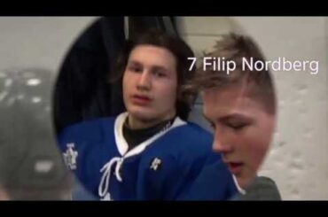 WSI 2019 Philadelphia: Goal Pro Hockey SWE :   7 Filip Nordberg