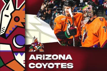 ARIZONA COYOTES: Nudná organizácia, napriek tomu ich čaká skvelá budúcnosť? │ ZA OPONOU #06