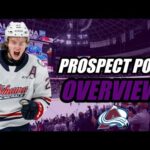 Prospect Pool Overview: Colorado Avalanche