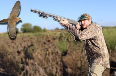 LIMITED OUT on Opening Day | Public Land Dove Hunting