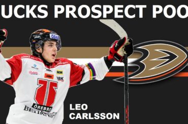 ANAHEIM DUCKS Prospect Pool | Top 10 NHL Prospects Ranking