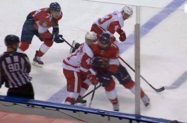 Radko Gudas "High Hit" Against Luke Glendening, Red Wings Announcers Not Happy