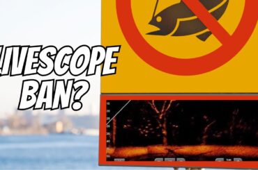 LIVESCOPE Ban? Should they limit Forward Facing Sonar?