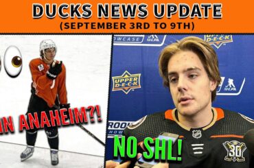 Trevor Zegras in Anaheim?! No SHL for Leo Carlsson & MORE!!!