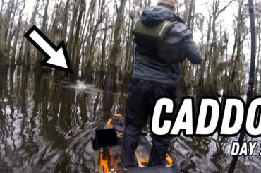 Kayak Fishing Caddo Lake (BOS DAY 2)