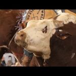 WRECK: Ben Jones gets stepped on by Old Soul (PBR)