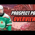 Prospect Pool Overview: Detroit Red Wings