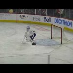 Toronto Marlies goalie Andrew D'Agostini warms up 4/22/22