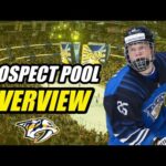 Prospect Pool Overview: Nashville Predators