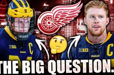 The BIGGEST QUESTION For The Detroit Red Wings This Year… (Re: Andrew Copp, J.T. Compher, Larkin)