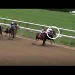 Incredible moment racehorse tries to bite rival close to finish line!