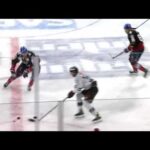 Huge hit by Denis Reul (DEL) |Hockey Rink