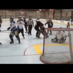 Roller Hockey Fights