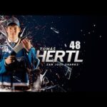 Best of Tomáš Hertl