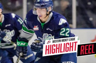 2018-19 HIGHLIGHT REEL | Dillon Hamaliuk