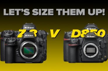 Z8 Vs D850 | Detailed First Look At How These Two Cameras Compare | Matt Irwin