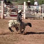 Colton Z. @ White Mountain Bullriding VIII