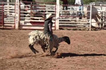 Colton Z. @ White Mountain Bullriding VIII