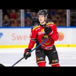 Nils Lundkvist | 27 | Luleå HF | 2019-20 Highlights