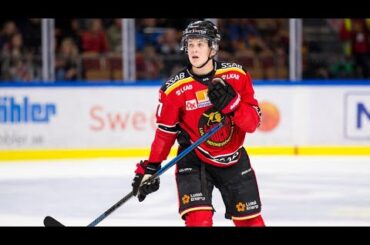 Nils Lundkvist | 27 | Luleå HF | 2019-20 Highlights