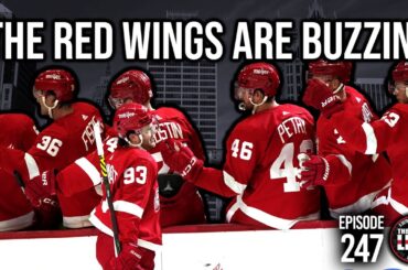 Episode 247 - The Detroit Red Wings Are Buzzin