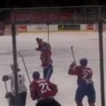 Phil DeSimone scores to make 1-0 bulldogs vs marlies AHL