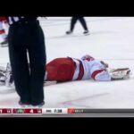 Ryan Lomberg Got Ejected For Hitting Antti Raanta In The Face