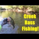 Creek Fishing for Largemouth Bass. Reedy Fork NC.