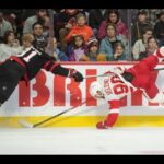 Reviewing Red Wings vs Senators Matinee Game