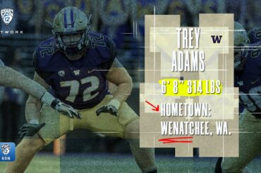 NFL Draft Highlights: Washington OL Trey Adams