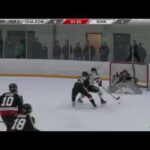 GOAL | Sean Tschigerl | March 18, 2018 | Goal 3