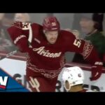 Journeyman Michael Carcone Explodes With Surprise Hat Trick For Coyotes