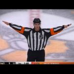 The Goalie Interference Problem In The NHL